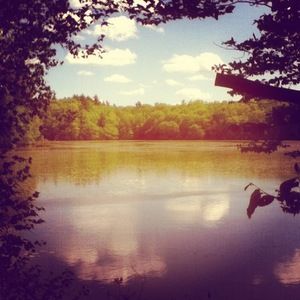 Meet your Posher, Luke